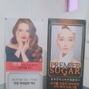 벨팜 이미지