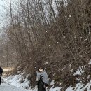 속삭이는 바다 | 속초·고성 여행 코스로 들른 인제 원대리 자작나무숲 | 소요시간·준비물·주차까지 솔직 후기