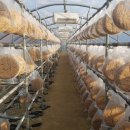 참샘농장 이미지