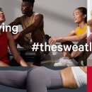 주식회사 벳글로벌 이미지