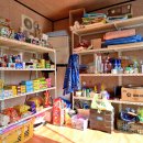 부조묘 | [전라남도 보성군] 보성 어울마당 야영장