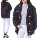 마랑데이지