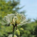 드림파크 이미지