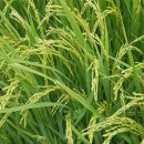 탐진사인마을 이미지