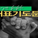 11월 대표 기도문 모음 이미지