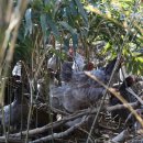 숲속청계농장 이미지