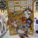 오로라 캣 | "이것" 챙겨가세요, 2026 대전 궁디팡팡 캣페스타 대전 궁팡 후기, 라인업 주차장