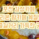 왕오락실 이미지