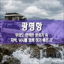 바다약국 | 광명항, 무의도 인천 중구 한적한 분위기 속 차박, 낚시를 함께 하기 좋은 곳