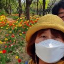 봄날-산책 이미지