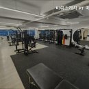 바디스케치 이미지