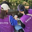 본마을4길 6 이미지