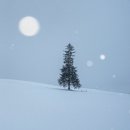 41190-01-07-071 | [24겨울 일본] 삿포로. day 2. 비에이 투어. 흰그림자 투어. 63 로쿠산 징기즈칸.