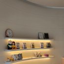 브라비 펫케어 이미지