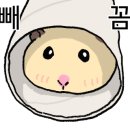 이치아더픽