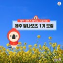 탐나투어 이미지