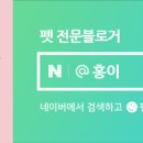 정담이유식 이미지