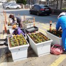 장평동 주민센터 이미지