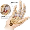 구로정형외과의원 이미지