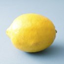 서초레몬 이미지