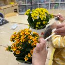 광주도평초등학교 병설유치원 | 안산 송호초 병설유치원 카랑코에 화분심기 원예수업 후기