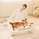 펫클라우드 | 블랙펫 클라우드 빈 강아지 방석 후기: 프리미엄 애견 쿠션으로 강아지도 대만족!