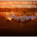 풍수지리학 이미지