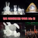 바보낙지 | <부산>영도 아르떼뮤지엄 무료로 보고 바보낙지까지 다녀온 솔직 후기