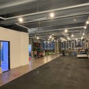 바디원오원 이미지