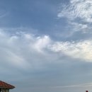 여행&gt; Day2-1 호치민- 무이네 슬리핑버스 무이네 신밧드케밥 몬스테라카페 무이네 센타라미라지 리조트