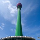 코끼리관광주 이미지