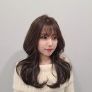 샹델 이미지
