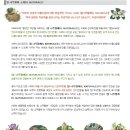 아람코퍼레이션주