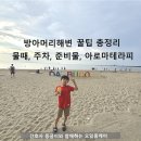 방아머리 | 방아머리해변 후기: 물때·주차·준비물·아로마테라피