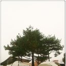 경운기네텐트세탁소 이미지