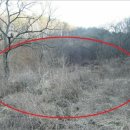 여주-1134 이미지