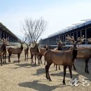 무진산업