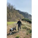 입동목장 이미지