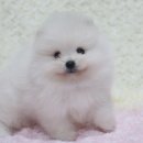 은아농장 이미지