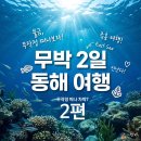 (2편) 무박2일 동해 차박 여행!｜퇴근 후~ 떠난 동해. 24시간. 낙산해수욕장 힐링 여행.