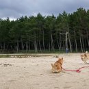 울진솔펜션 이미지