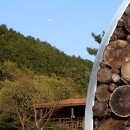 진해노인종합복지관 | ⑤ 진해 벚꽃 명소( 드림 파크 편/우주 최고봉, 종합 복지관)