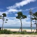 망상리조트 스낵카페 이미지