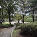 분당동 주민센터 이미지