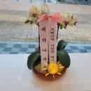 대박손세차 이미지