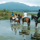 우리승마장 이미지