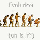 트라이던 피트니스 심곡점 이미지