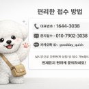 굿데이네트워크