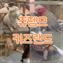키즈랜드종합학원 | 경기도 시흥 이색카페 쥬뗌므 키즈랜드, 아이와 가볼만한곳 실내동물원