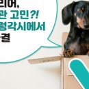 태평약국 이미지